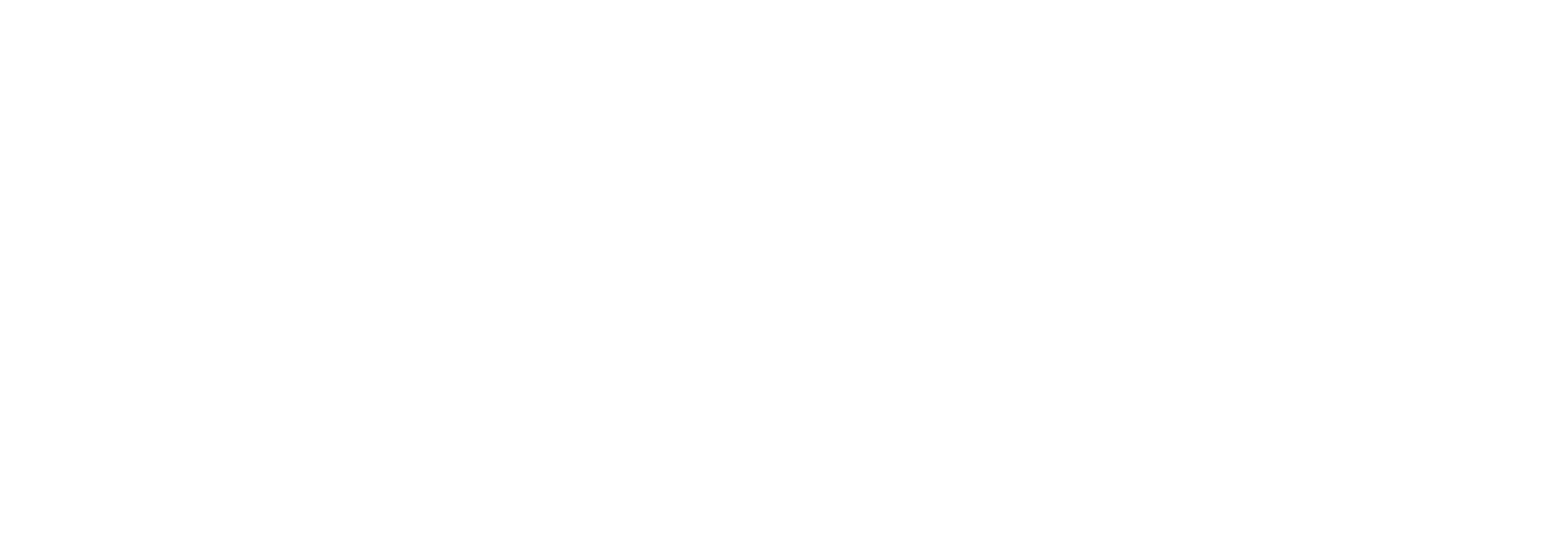 Investors.thenemesis.io